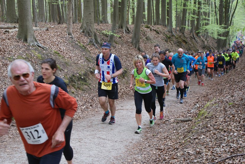 Hyacintenjogging 2016 - 118